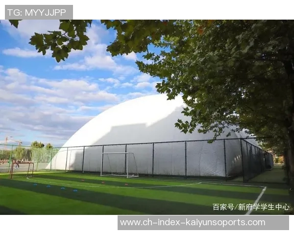 足球气模的创新设计与应用探索助力青少年足球发展新趋势